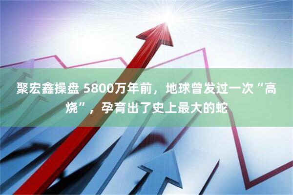 聚宏鑫操盘 5800万年前，地球曾发过一次“高烧”，孕育出了史上最大的蛇