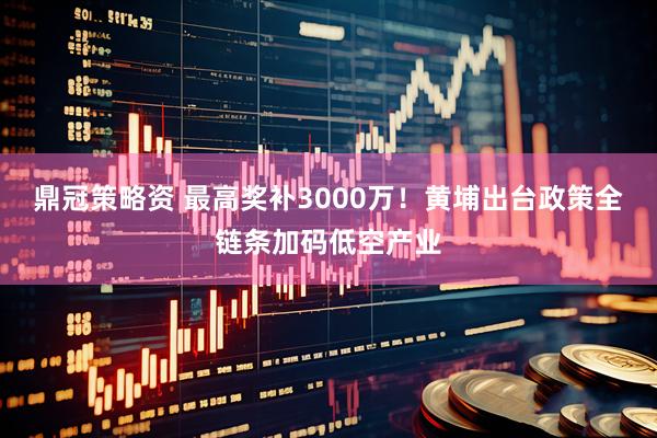 鼎冠策略资 最高奖补3000万！黄埔出台政策全链条加码低空产业