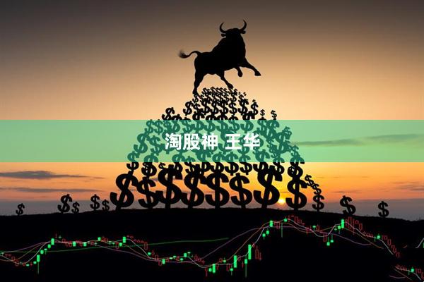 淘股神 王华