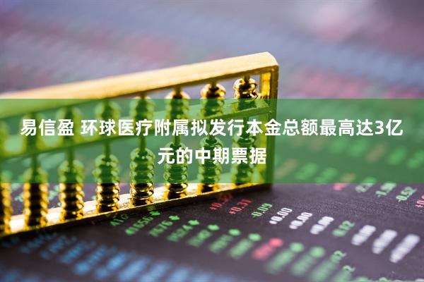 易信盈 环球医疗附属拟发行本金总额最高达3亿元的中期票据